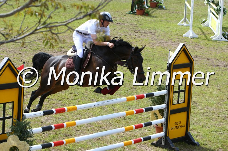 204M6441_Cassiopaja_Spring Mx.JPG